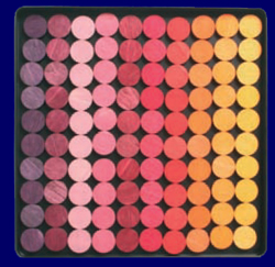 �ʓ��� �T�[�N���Y�p�Y�� �� GRIMM�fS Spiel & Holz Design �p�Y��