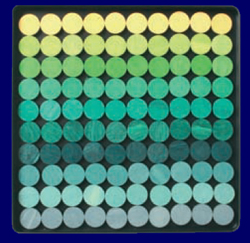 �ʓ��� �T�[�N���Y�p�Y�� GRIMM�fS Spiel & Holz Design �p�Y��
