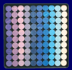 �ʓ��� �T�[�N���Y�p�Y�� �� GRIMM�fS Spiel & Holz Design �p�Y��