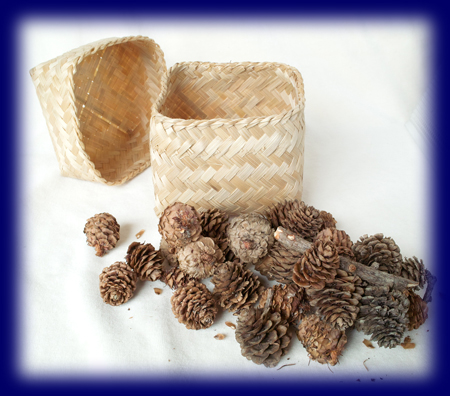 �l�C�`���[�Z�b�g �~�j�~�j���ڂ����肭�� �W�t�������Z�b�g ���܂܂���