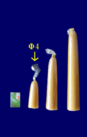 �݂낤�낤���� ���a4cm ����10cm