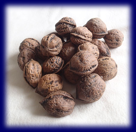 �N���~�i�����Ȃ��j ���܂܂��Ɓi�l�C�`���[�Z�b�g�j �������� �c������