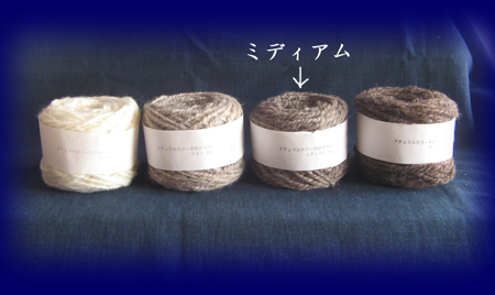 �i�`�������J���[��ނ��ю� 36g�@�~�f�B�A�� ��a���ю�